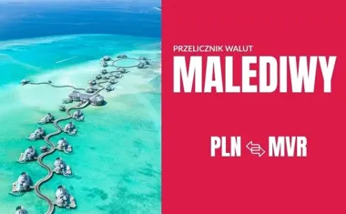 Obraz do artykułu: Waluta na Malediwach Rupie czy dolary i jak korzystać z przelicznika walut w rajskich kurortach