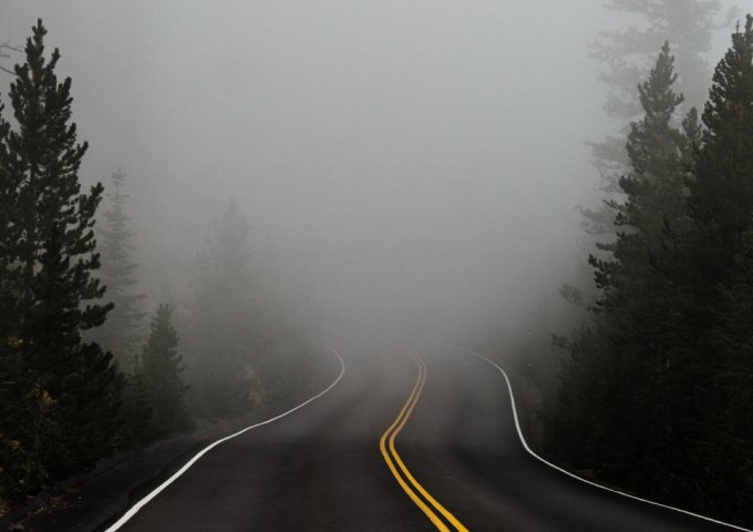 Na zdjęciu droga asfaltowa przez las w gęstej mgle