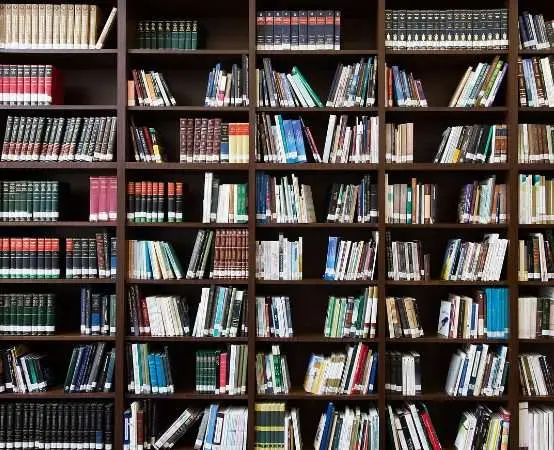 Światowy Dzień Kota w Żorach - biblioteka zbiera dary dla kociego azylu