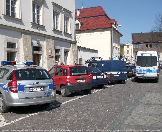 Policja Żory: Tymczasowy areszt dla patostreamerów
