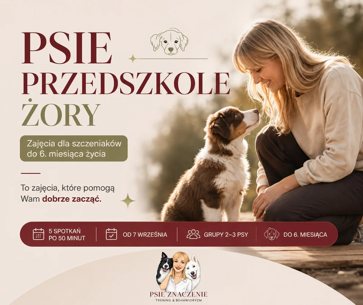 Grafika promocyjna wydarzenia PSIE PRZEDSZKOLE ŻORY – DOBRY START ZE SZCZENIAKIEM – kurs dla szczeniąt