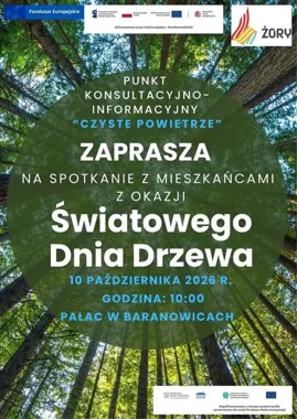 Jedno drzewo, rodzinna gra i wnioski o „Czyste Powietrze” w Żorach
